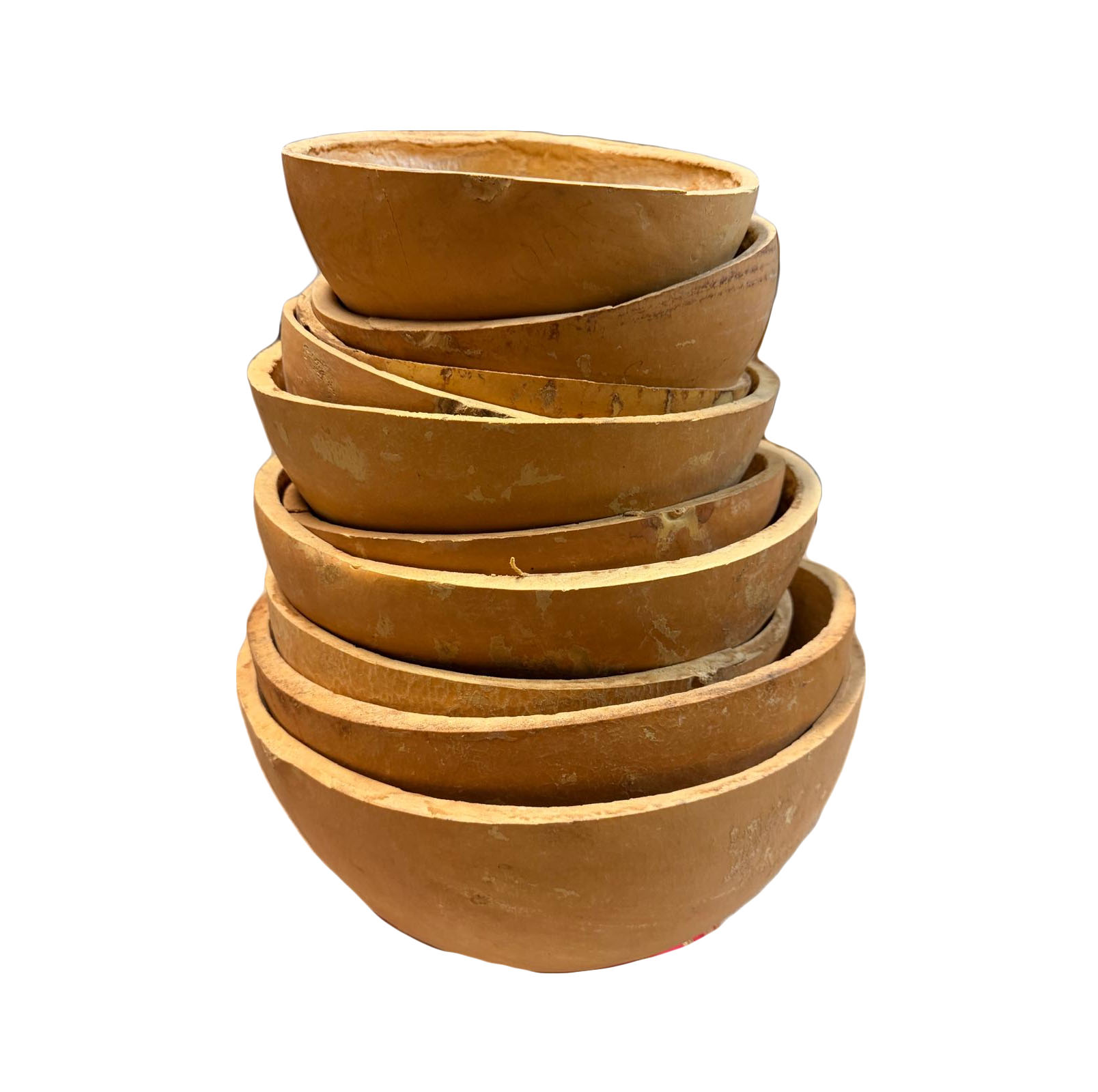 Calebasse hémisphérique n° 2